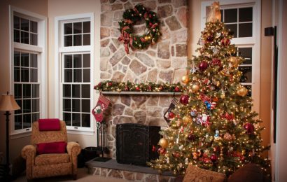 Jak vybrat vánoční stromek?