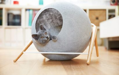 Elegantní a originální tip na pelíšek pro kočku